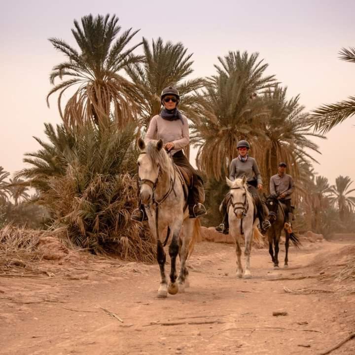 Bivouac Zagora Hotel Eksteriør billede