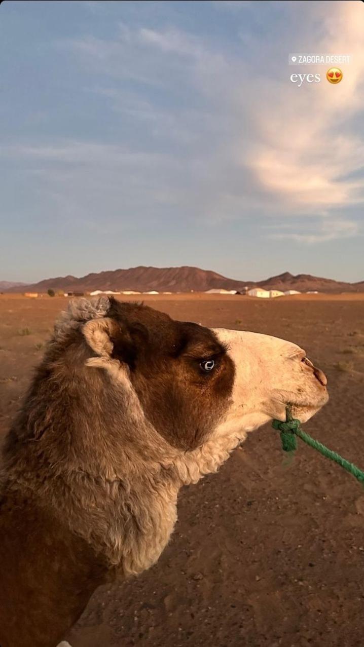 Bivouac Zagora Hotel Eksteriør billede